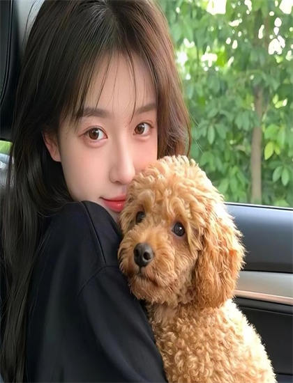 音乐片的文化溯源：《寻宝囧途》中的制作的成本分配与效益分析 探索艺术与文化的互动关系